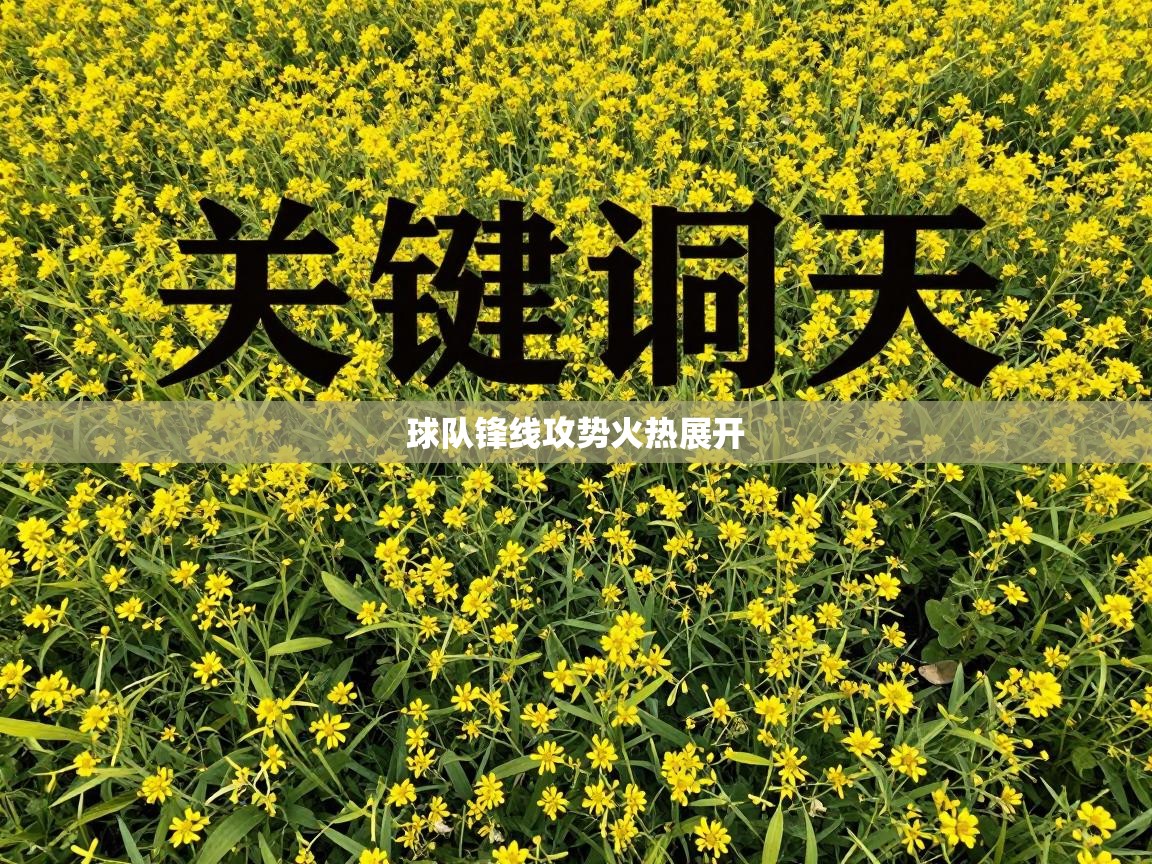 球队锋线攻势火热展开  第1张